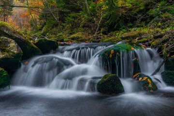 Sumny and Bily creek in autumn morning in Jeseniky mountains