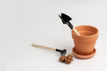 clay pot with wooden rake, spatula and bulbs on a white background with a place for signature