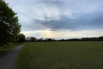 sunset in the park