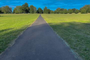 road in the countryside