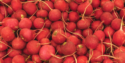 A lot of red radishes, texture background. Pile of fresh ripe radish pattern, high quality photo
