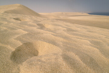 sand dunes in the desert