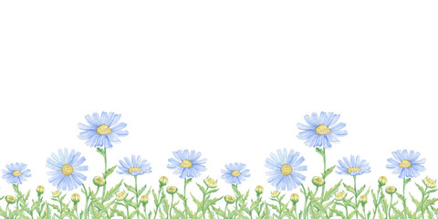 seamless pattern ribbon of watercolor images of blue daisies