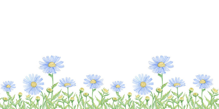 seamless pattern ribbon of watercolor images of blue daisies