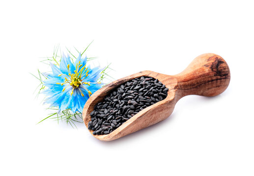 Black cumin seeda with nigella sativa flower