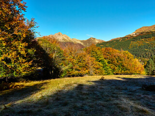 Selva Irati en Otoño