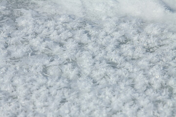 Snow background. Large snowflakes. Snow crystals.Frozen large snowflakes for texture. 