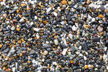 Close-up of Mixed Wet Pebbles and Shells on The Beach in California