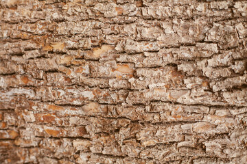 background and texture brown bark of an old tree arranged horizontally
