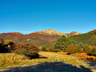 Selva de Irati en Otoño