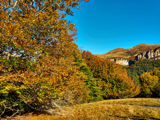 Selva de Irati en otoño con vista al monte  Lakartxela