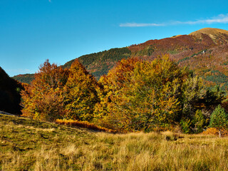 Fototapeta premium Selva de Irati en otoño con vista al monte Lakartxela