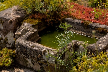 Kleiner Brunnen im Garten