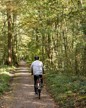 Vélo Dans Un Parc Forestier