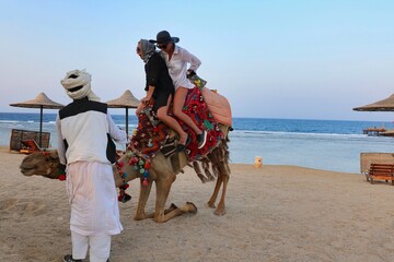 Two tourist girls ride a camel, accompanied by a driver, along the beach by the sea.