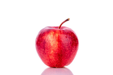 One juicy red apple, close-up isolated on white.