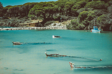 Abandoned and sunken boats in a river.