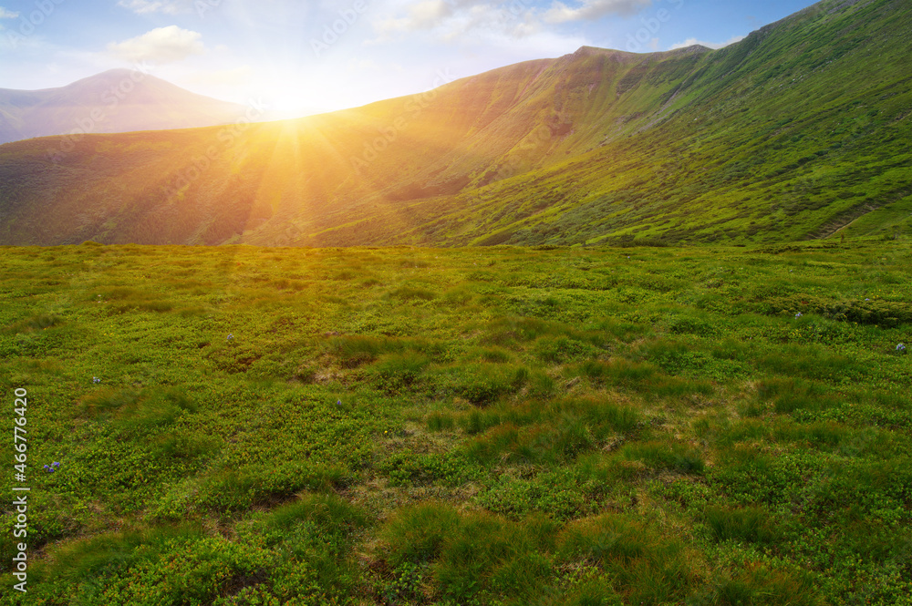 Poster Mountain landscape on sun