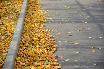 Dry fallen leaves are lying in piles along the road. Leaf cleaning season in autumn city.