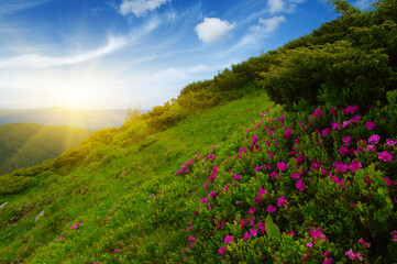 Mountain landscape on sun