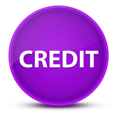 Credit luxurious glossy purple round button abstract