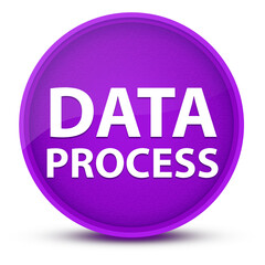 Data Process luxurious glossy purple round button abstract
