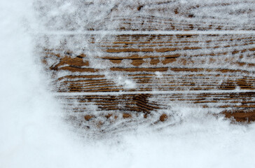 Winter wood background with snow.