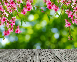 wooden spring blossom