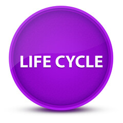 Life Cycle luxurious glossy purple round button abstract