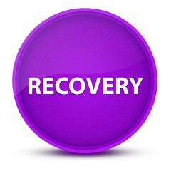 Recovery luxurious glossy purple round button abstract
