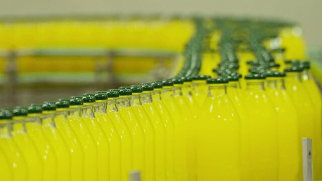 Glass bottles filled with yellow liquid lemonade on a conveyor belt