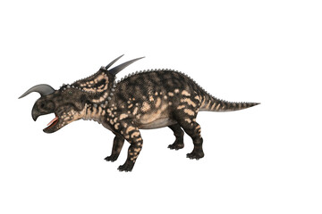 Einiosaurus in different angles and poses rendered on white background, 3D rendering illustration.
