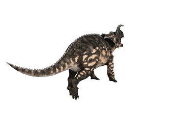 Naklejka premium Einiosaurus in different angles and poses rendered on white background, 3D rendering illustration.