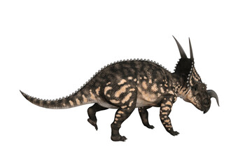 Einiosaurus in different angles and poses rendered on white background, 3D rendering illustration.