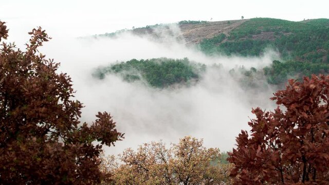 Misty landscape in autumn