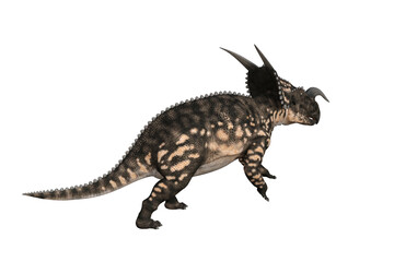 Einiosaurus in different angles and poses rendered on white background, 3D rendering illustration.