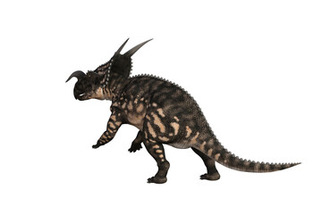 Einiosaurus in different angles and poses rendered on white background, 3D rendering illustration.