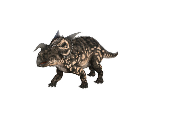 Einiosaurus in different angles and poses rendered on white background, 3D rendering illustration.