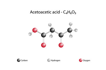 Molecular formula of acetoacetic acid. Acetoacetic acid is the simplest beta-keto acid.