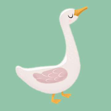 White Goose in different poses. Cute vector illustration in simple hand-drawn cartoon style. Cute cartoon ducks. Character bird with outline and texture