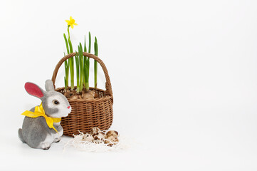 quail eggs, a gray ceramic rabbit with a yellow bow and a wicker basket with fresh daffodils on a white background