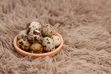quail eggs on a ceramic plate on a plush brown background with a place for the signature