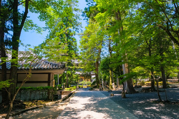 京都市 南禅寺 水路閣前の庭園
