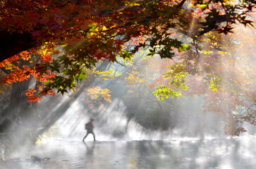 On an autumn morning, the water mist along the river dyed with maple leaves and tourists