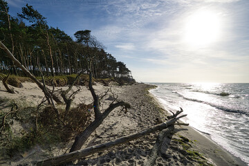 Fototapeta na wymiar west beach on baltic sea beach. detailed and textured still life.