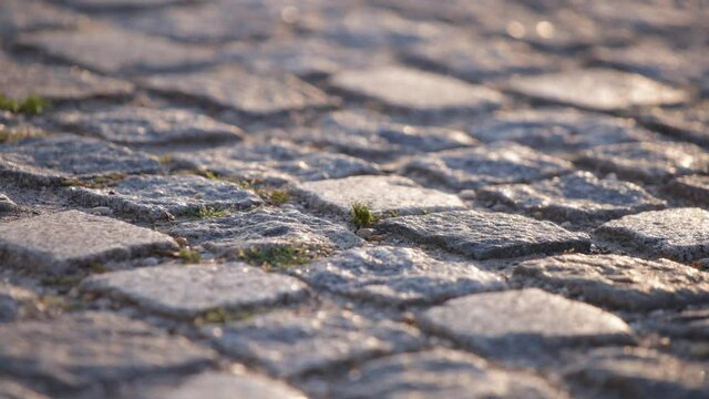 Close up of a cobblestone pavement walk at sunset. Abstract texture background. 