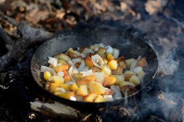 Cooking over a campfire, cooking potatoes.