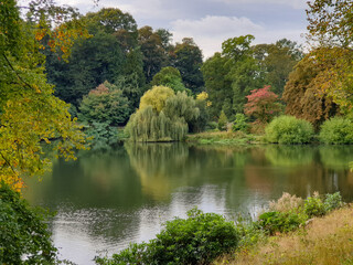 Beautiful autumn landscape of trees foliage and a Pond in West Yorkshire outside Leeds, England