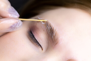macro photography of eyebrow hairs on which laminating compounds are applied spreads them over the...