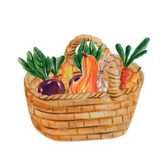 Vegetables basket with carrot, pumpkin, beetroot, pear. Watercolor illustration of autumn harvest. For thanksgiving greeting cards, farmers market, grocery shop, menu, eco food market, posters, logo 